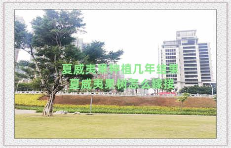 夏威夷果种植几年结果 夏威夷果树怎么嫁接